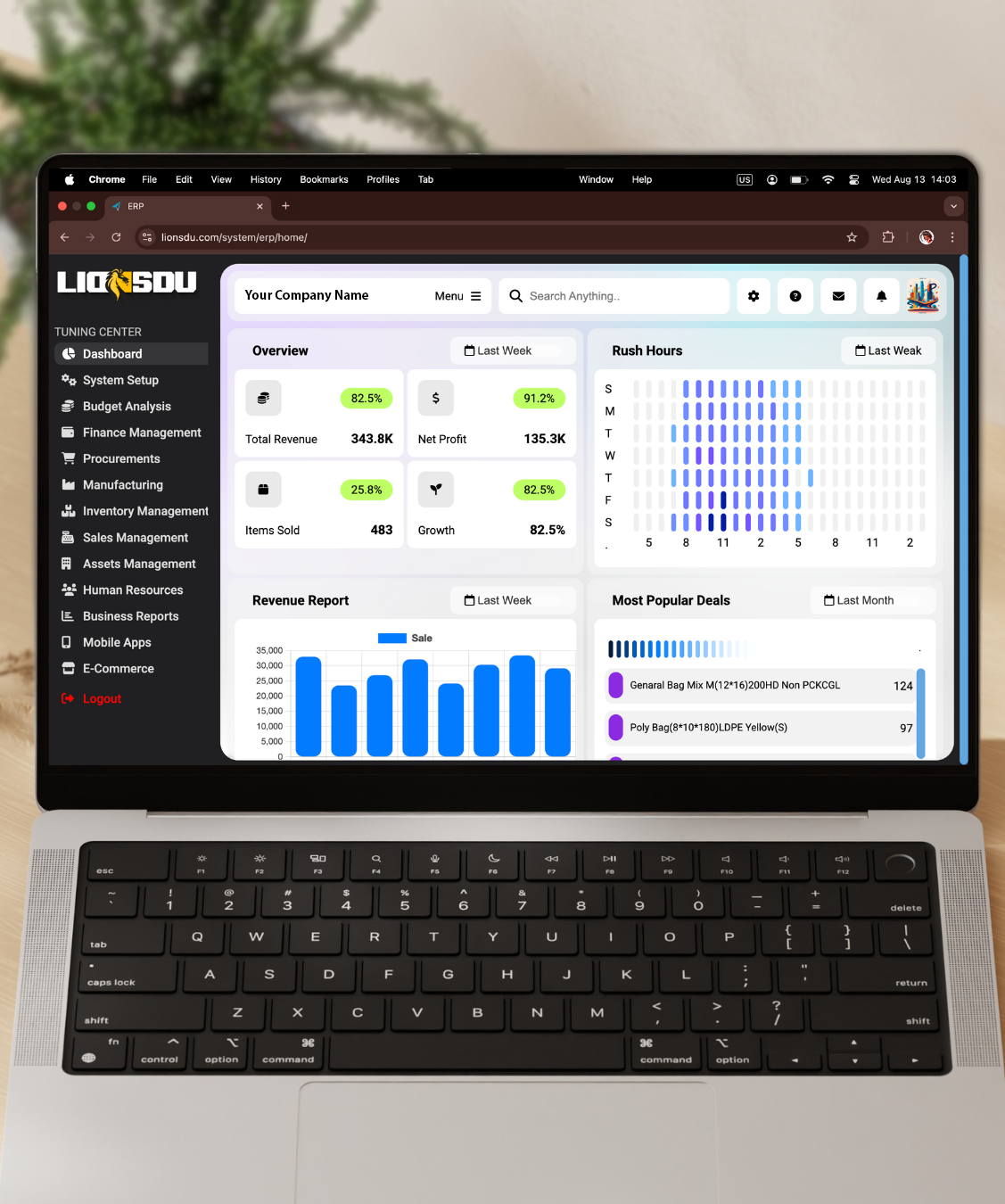ERP Solutions