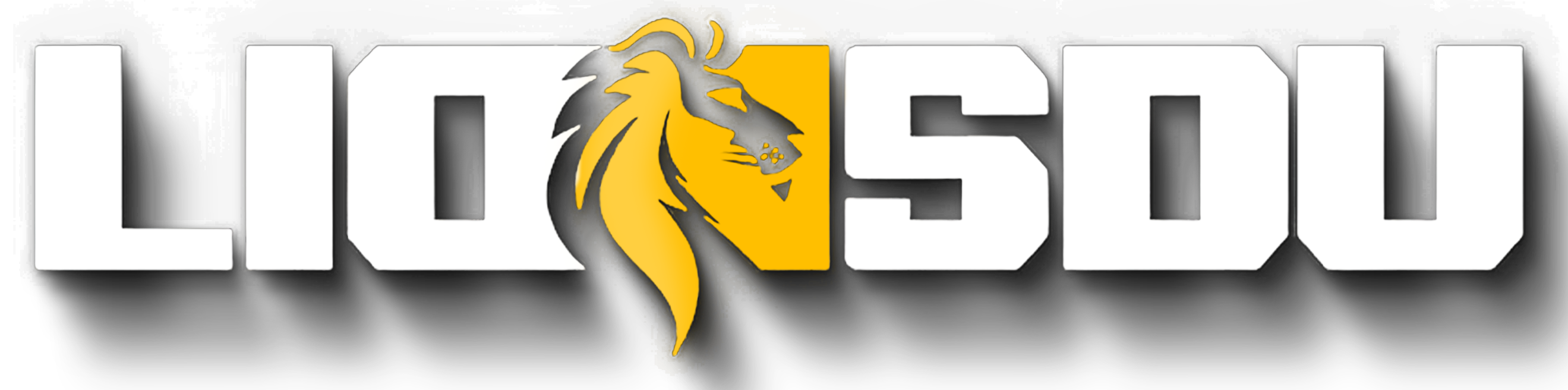 lionsdu